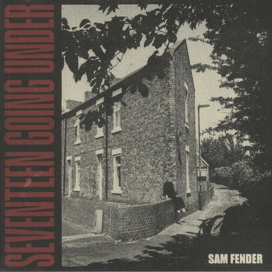 Sam FENDER - Seventeen Going Under, gatefold 180 gram vinyl LP